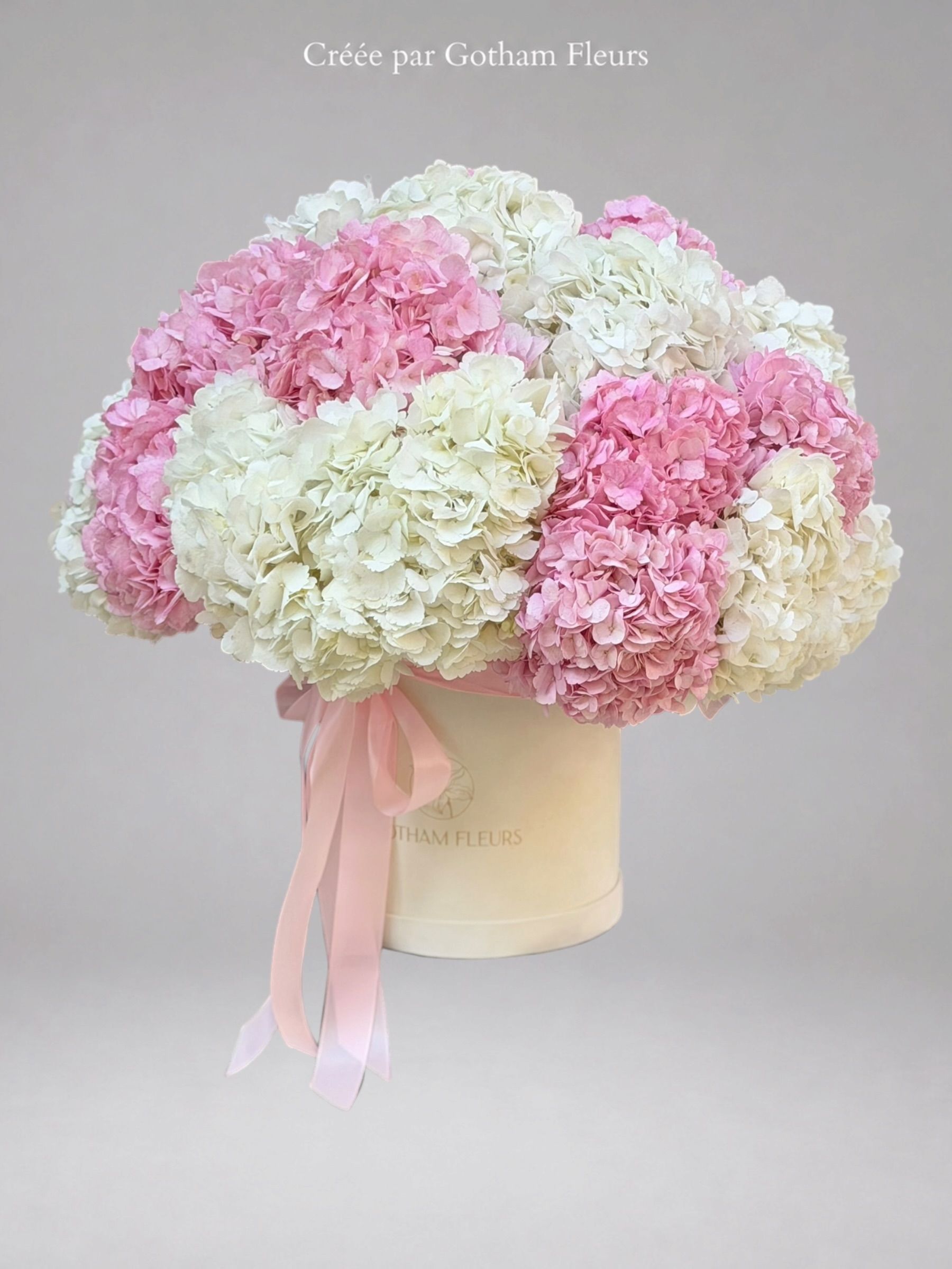 Douceur Rosée – Boîte de 27 Hortensias d’Équateur